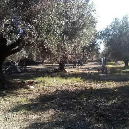 Farm House
