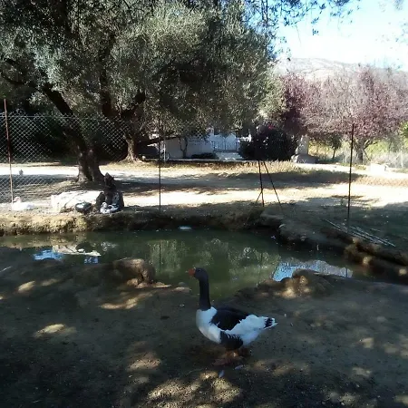 Dom wakacyjny Farm House